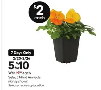 Lowe's Select 1-Pint Annuals offer