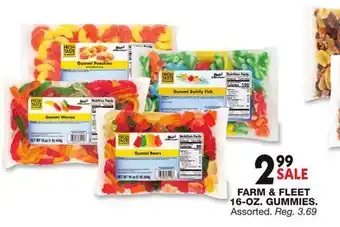 Blain's Farm & Fleet FARM & FLEET 16-OZ. GUMMIES offer