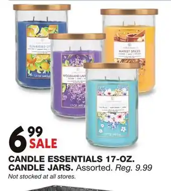 Blain's Farm & Fleet CANDLE ESSENTIALS 17-OZ. CANDLE JARS offer