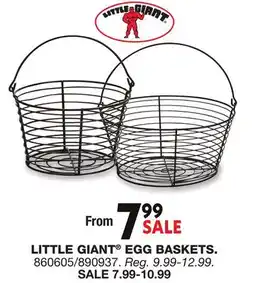 Blain's Farm & Fleet LITTLE GIANT EGG BASKETS offer