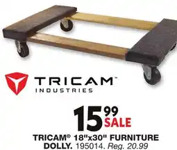 Blain's Farm & Fleet TRICAM 18x30 FURNITURE DOLLY offer