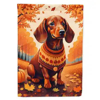 Walmart Carolines Treasures DAC1043CHF 40 x 28 in. Dachshund Fall House Flag offer