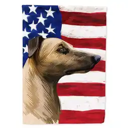 Walmart Carolines Treasures CK6609CHF Magyar Agar American Canvas House Flag - 28 x 0.01 x 40 in offer