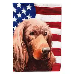 Walmart Irish Setter Dog American Flag Flag Canvas House Size offer