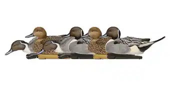 Walmart Avian X Top Flight Pintail, 8082 offer