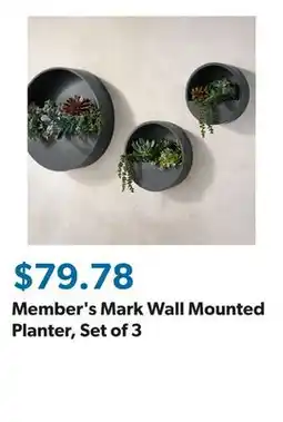 Sam's Club Member's Mark Wall Mounted Planter, Set of 3 offer