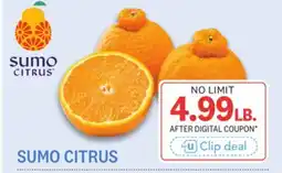 Kings Food Markets SUMO CITRUS offer