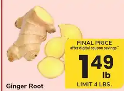 ACME Ginger Root offer