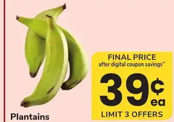 ACME Plantains offer