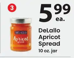 ACME DeLallo Apricot Spread offer