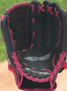 Big 5 Mizuno Shadow Series 12 Professional Model Baseball Glove offer