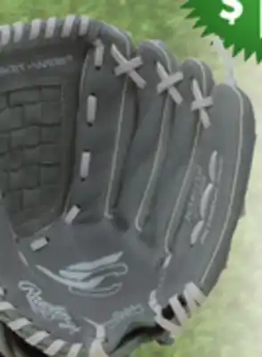 Big 5 Rawlings Sure Catch 11.5 Fastpitch Glove offer