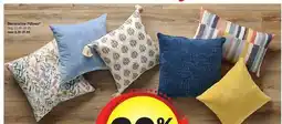 Meijer Decorative Pillows offer