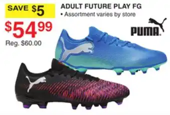 Dunham's Sports PUMA ADULT FUTURE PLAY FG offer