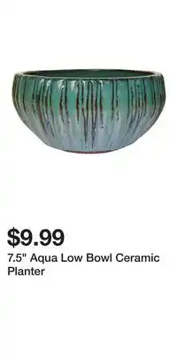 Big Lots 7.5 Aqua Low Bowl Ceramic Planter offer