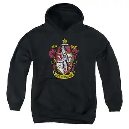 Walmart Harry Potter - Gryffindor Crest - Youth Hooded Sweatshirt - X-Large offer