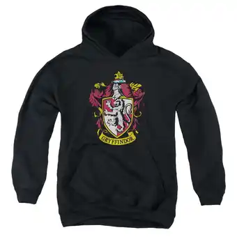 Walmart Harry Potter - Gryffindor Crest - Youth Hooded Sweatshirt - X-Large offer