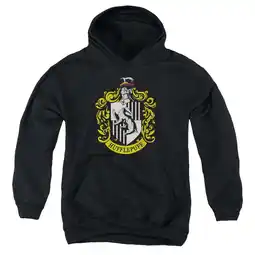 Walmart Harry Potter - Hufflepuff Crest - Youth Hooded Sweatshirt - Small offer