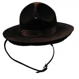 Walmart Costumes For All Occasions Ga32Md Campaign Hat Medium offer