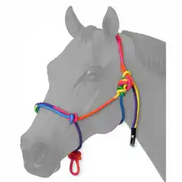 Walmart Tough1 Mini Rainbow Rope Halter Large offer