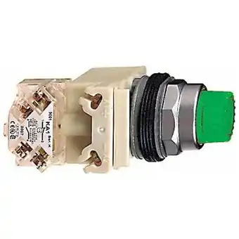 Walmart Schneider Electric Illuminated Push Button,30mm,Green,6VAC 9001K2L1GH13 offer