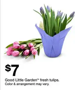 Target Good Little Garden fresh tulips offer