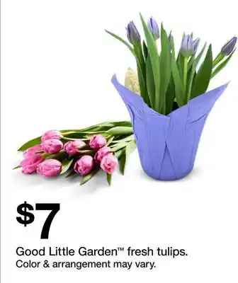 Target Good Little Garden fresh tulips offer