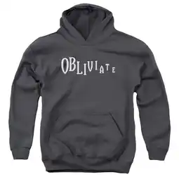 Walmart Harry Potter - Obliviate - Youth Hooded Sweatshirt - Small offer