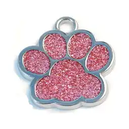 Walmart Pet Supplies Cute Mini Paw Dog ID Name Tags Pet Jewelry Necklace offer