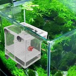 Walmart Pet Supplies Aquarium Fish Tank Fish BreedingHatcher Net Hanging Mesh Box Separate Container offer