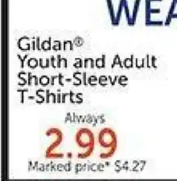 Hobby Lobby Gildan Youth and Adult Short-Sleeve T-shirts offer