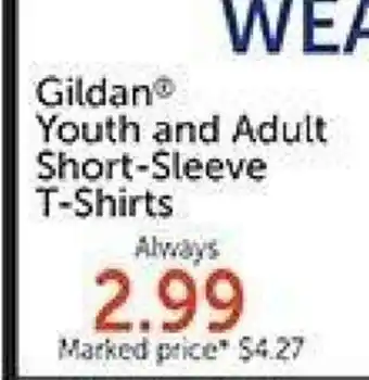 Hobby Lobby Gildan Youth and Adult Short-Sleeve T-shirts offer