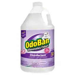 Walmart OdoBan Deodorizer Disinfectant Cleaner Concentrate offer