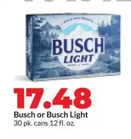 Hy-Vee Busch or Busch Light offer