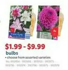 Lidl bulbs offer