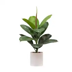 Walmart Mainstays 20H Artificial Indoor Fiddle Leaf Fig Plant in Plastic Vanilla Planter offer