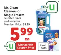 Vons Mr. Clean Cleaners or Magic Erasers offer