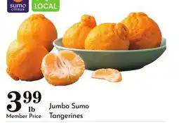 Pavilions Jumbo Sumo Tangerines offer