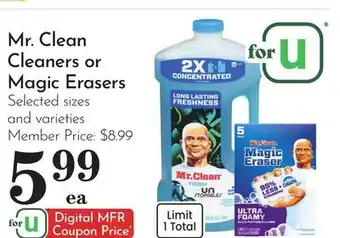 Pavilions Mr. Clean Cleaners or Magic Erasers offer