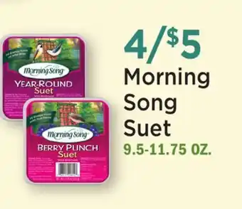 Heinen's Morning Song Suet offer