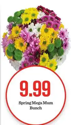 Mariano's Spring Mega Mum Bunch offer