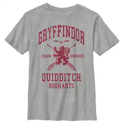 Walmart Boy's Harry Potter Gryffindor Quidditch Team Seeker Graphic Tee Athletic Heather X Large offer