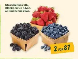 Sprouts Farmers Market Strawberries 1lb., Blackberries 5.6oz. or Blueberries 6oz offer