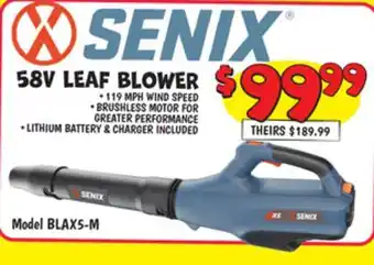 Ollie's SENIX 58V LEAF BLOWER offer