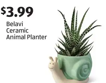 Aldi Belavi Ceramic Animal Planter offer