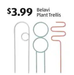 Aldi Belavi Plant Trellis offer