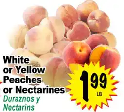 Superior Grocers White or Yellow Peaches or Nectarines offer