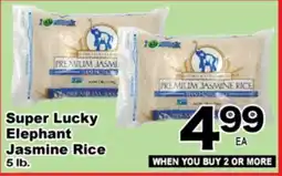 Superior Grocers Super Lucky Elephant Jasmine Rice offer