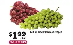 Grocery Outlet Red or Green Seedless Grapes offer