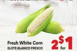 Vallarta Supermarkets Fresh White Corn/ELOTE BLANCO FRESCO offer